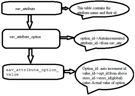 eav attribute in magento